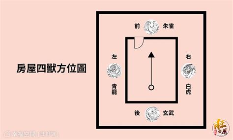 健康風水2023 魚缸放龍邊還是虎邊